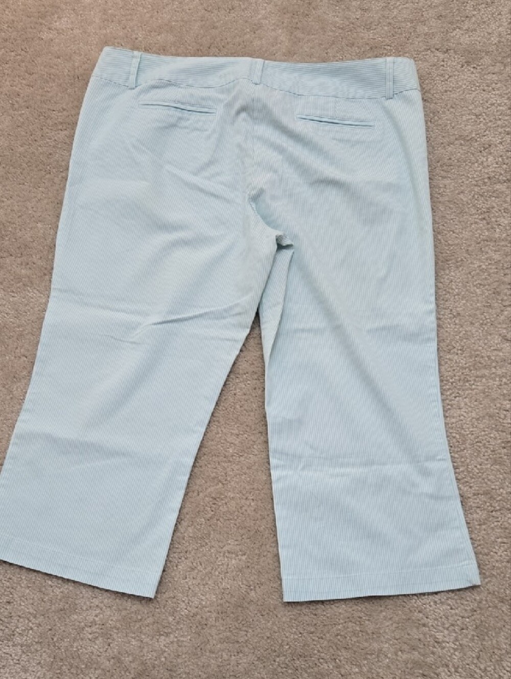 Vintage Light Blue Pinstripe Cropped Pants - Picture 2 of 3